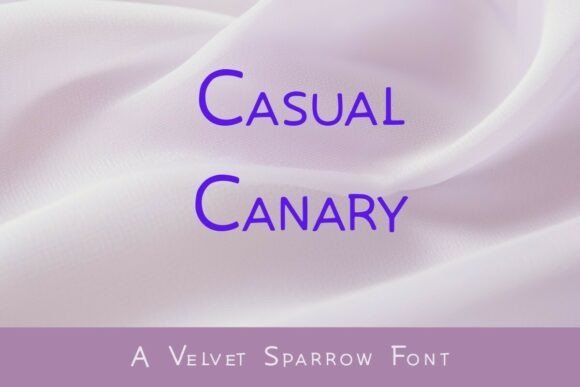 Casual Canary: A Designer's Verdict on a Bold Display Typeface