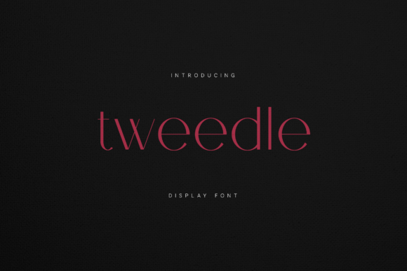 Tweedle Display: The Premium Serif Font for Scroll-Stopping Campaigns